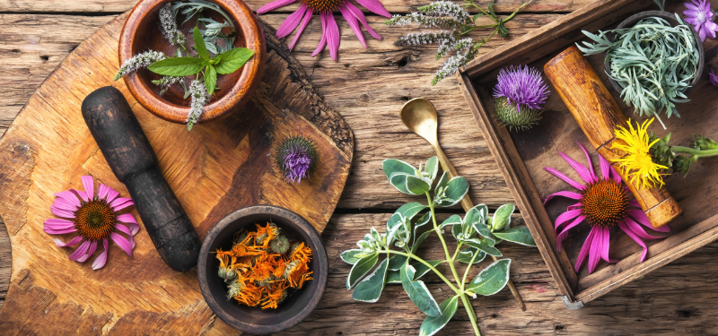 Herbs of South Africa for Beautiful Skin